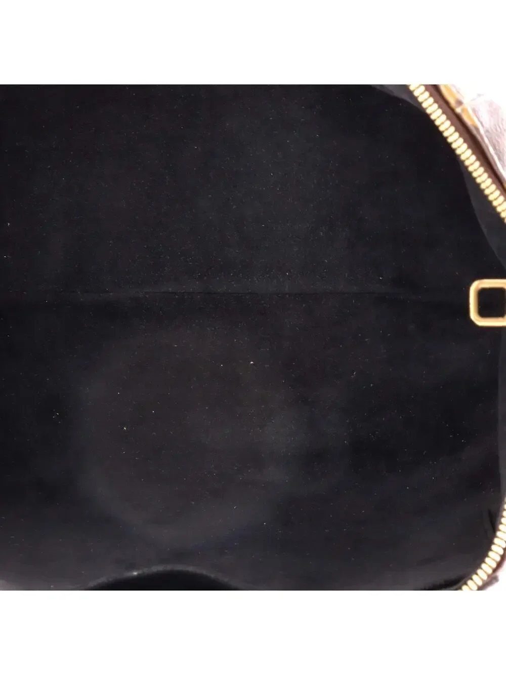 Louis Vuitton introducing louis